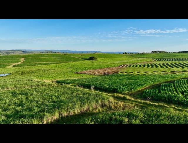 LAND FOR SALE IN MOUNT VERDE